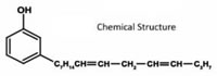 33 Polylactic Acid Controllable Degradation Glass Fiber Composite Materials, Cashew Nutshell Residual Based Blocking Agent