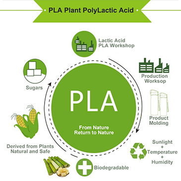 PLA, Plant PolyLactic Acid