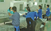 Automatic Spray Coating Production Line, Digital Product Painting Line
