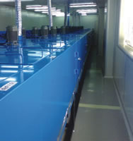Industrial Ovens