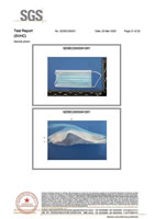Test Report regarding Regulation EC 1907 2006 concerning the REACH for Surgical Face Mask MN-175 MN-130 MN-80 23