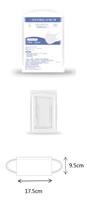08 Disposable Flat Adult Care Mask XCW010 A