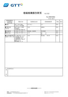 Inspection Test Report for Disposable 3D Adult Care Mask Non Woven Earband M Size XCX010 33