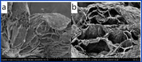 212 Materials Technology Graphite Coating Technology for Energy Storage Battery Cores