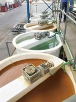 37 Water Treatment System Plant 05