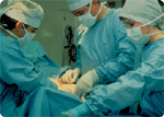 Some Applications of Nonwoven Fabrics Products